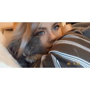 Meet your Posher, Kali